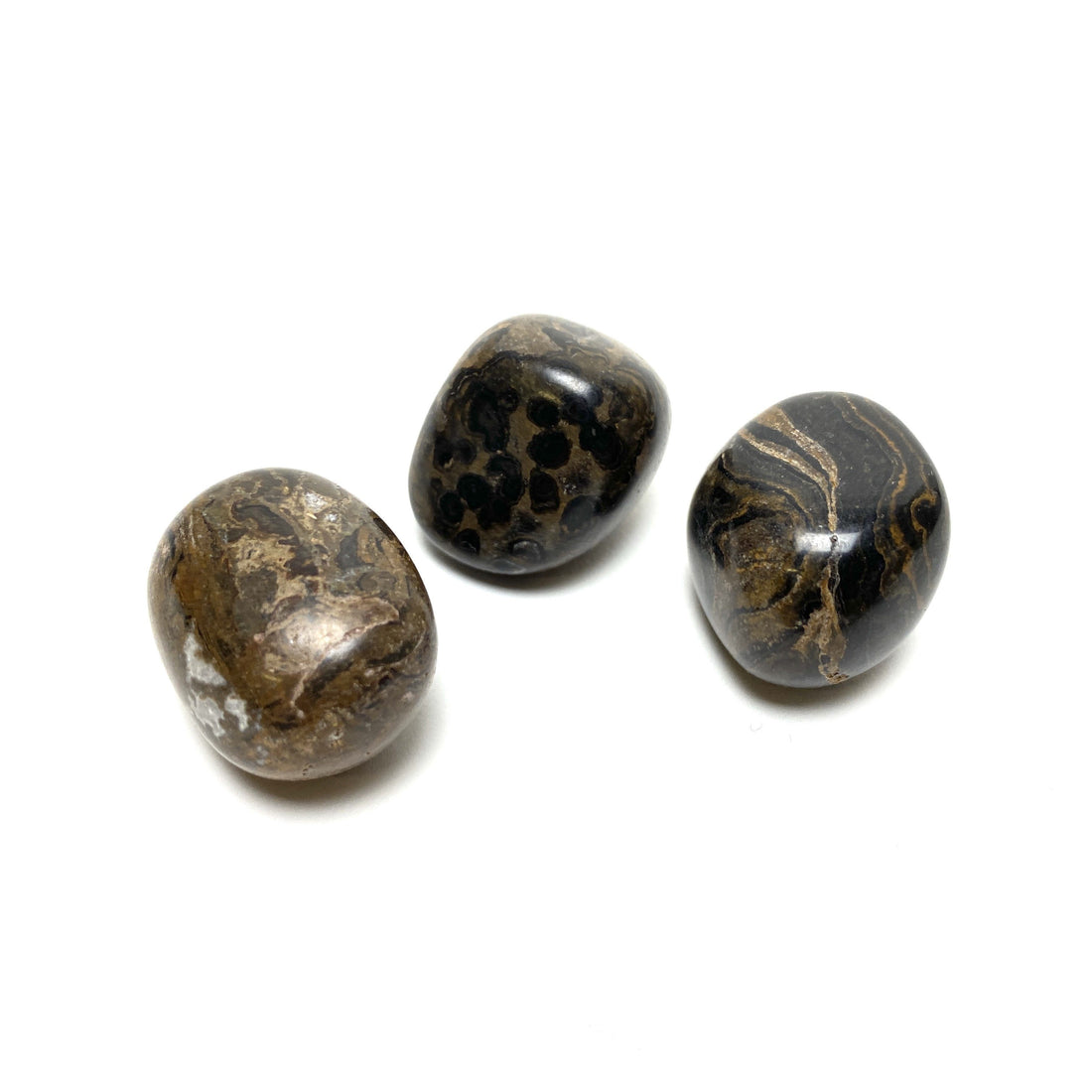 Stromatolite Tumbles Stromatolite Crystals A. $6.00 