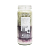 Twin Flame Magic Candle Magic Candles House of Intuition 